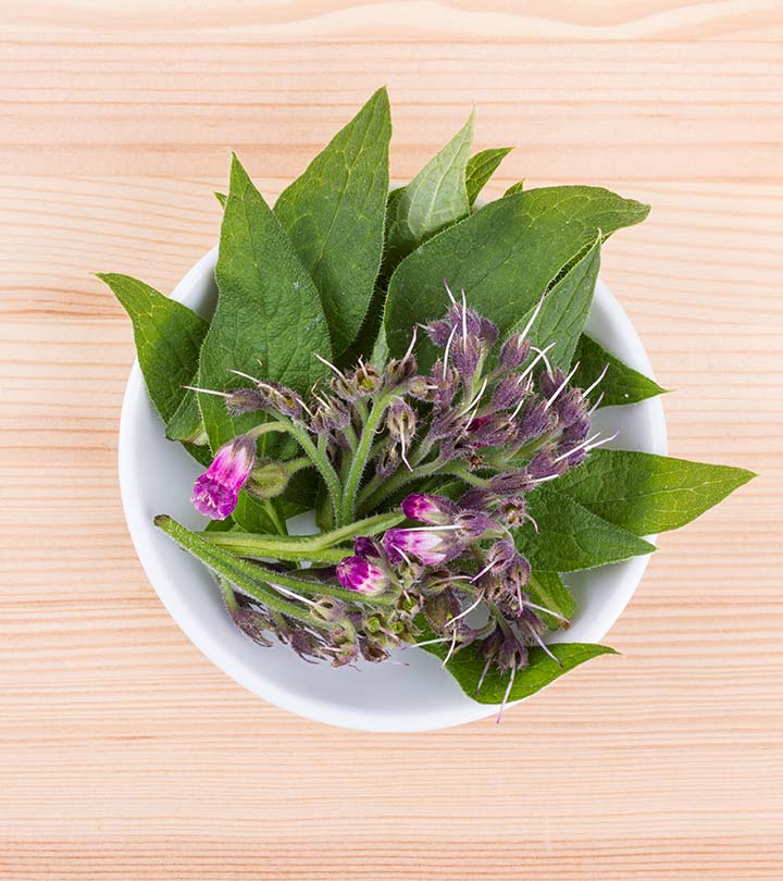 What Is Comfrey What Are Its Uses And Side Effects