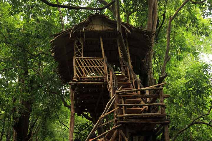 Spend A Night In A Tree House
