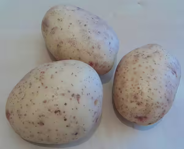 Potato Face Pack For Fair Skin Potato Face Pack For Fair Skin