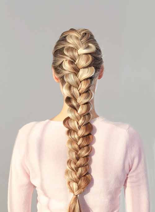 Dutch Braid Dutch Braid