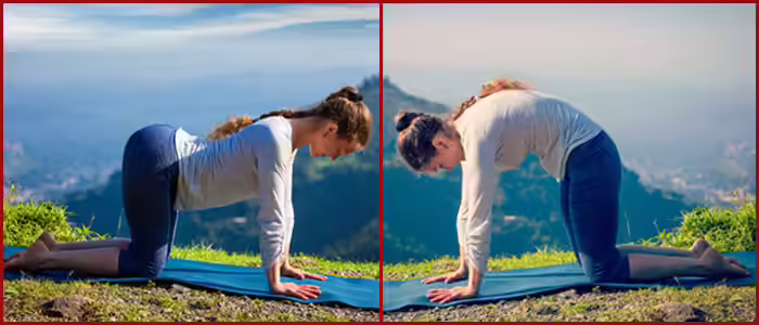 Yoga For Neck Pain - Marjariasana And Bitilasana Marjariasana And Bitilasana To Cure Neck Pain - Yoga