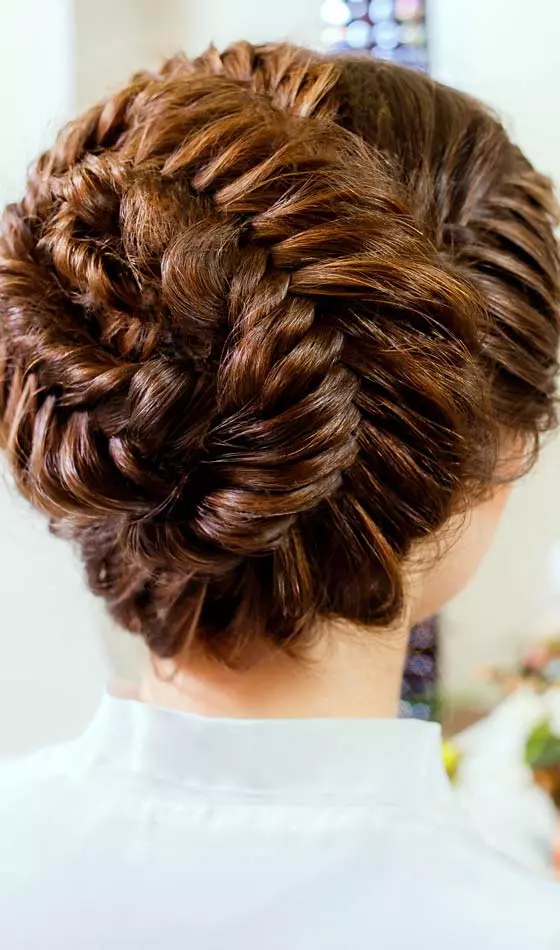 Conch Shell up Do