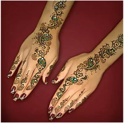 Indian Mehndi Designs 21