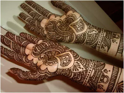 Indian Mehndi Designs 5