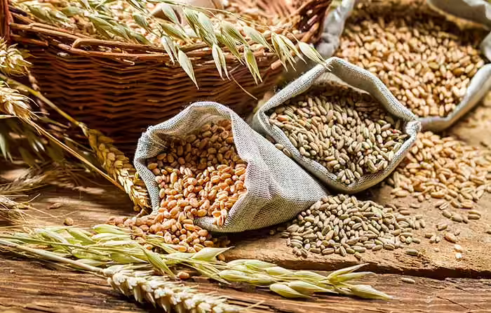 Irritable Bowel Syndrome Diet - Foods To Avoid Irritable Bowel Syndrome Diet - Foods To Avoid