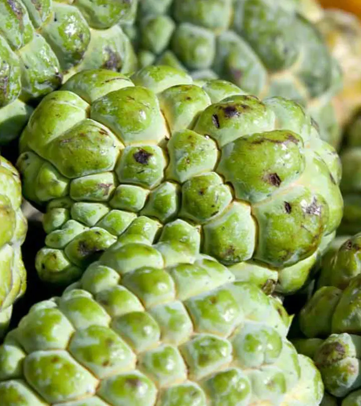 10 Amazing Health Benefits Of Custard Apples (Sugar Apples)_image