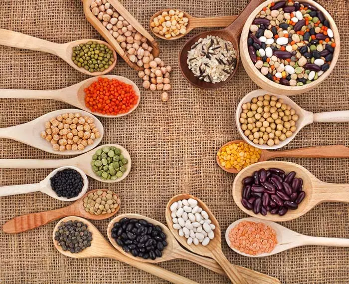 Legumes