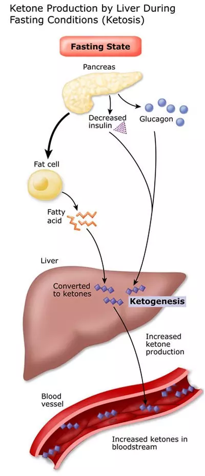 ketone production