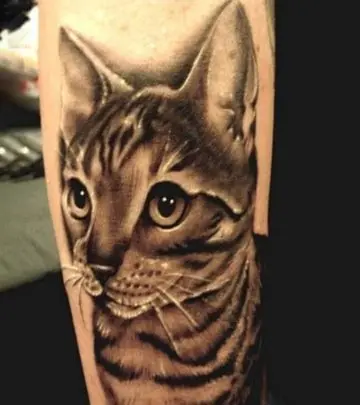 10 Cute Cat Tattoo Designs_image