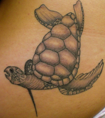 Best Turtle Tattoo Designs – Our Top 10_image