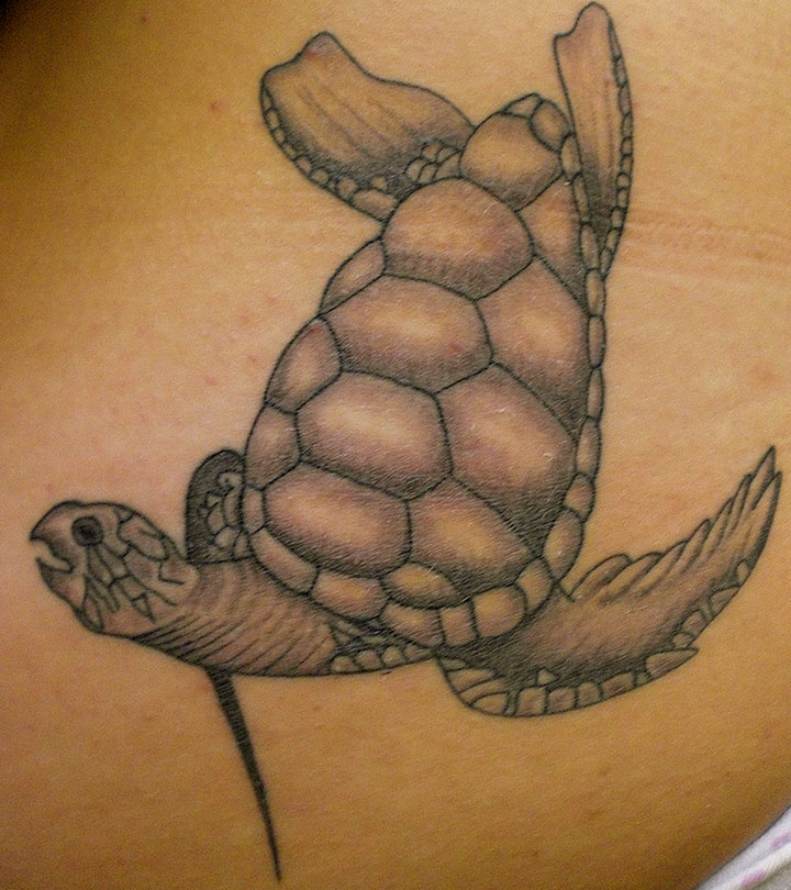 Best Turtle Tattoo Designs - Our Top 10
