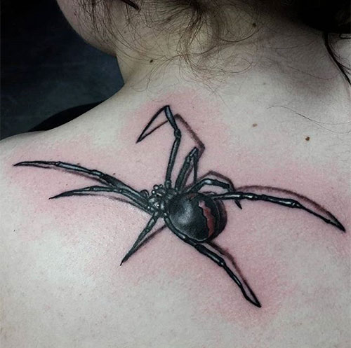 3D Spider Tattoo On Shoulder