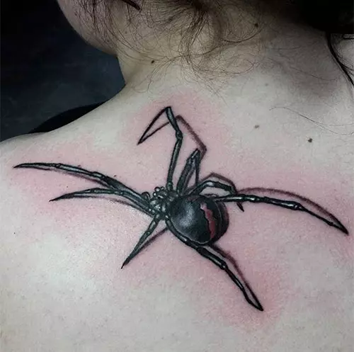 3D Spider Tattoo On Shoulder