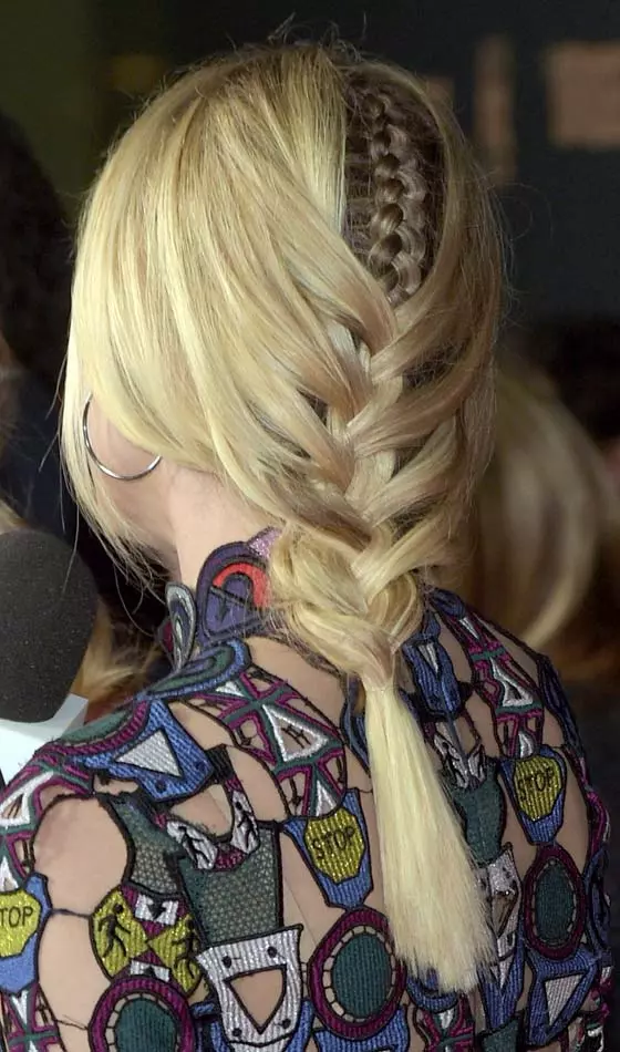 Plaited Fishtail Braid