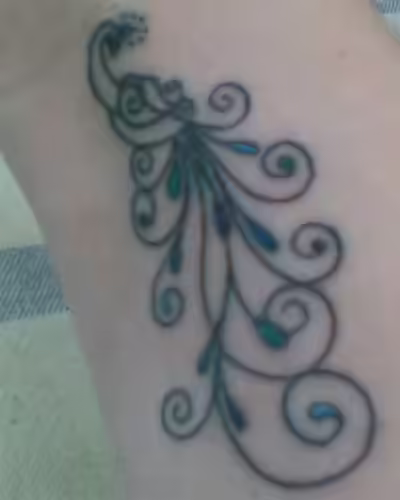 An outline An outline
