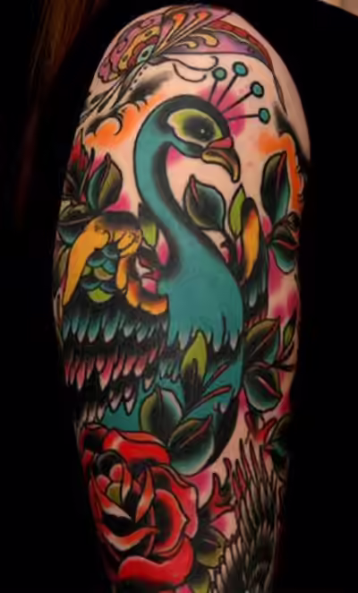 In full colour In full colour