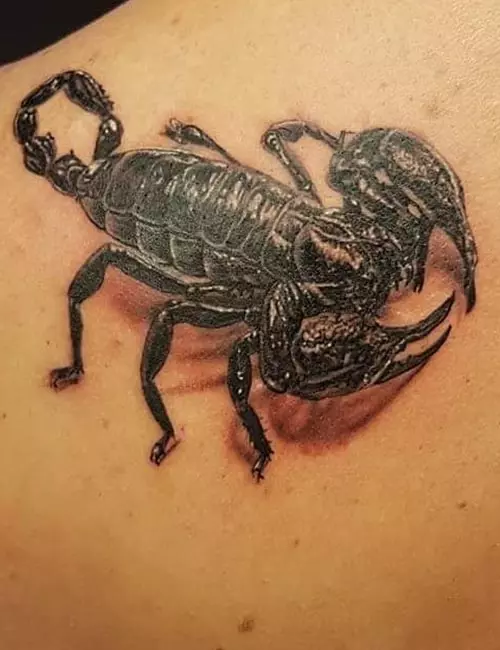 Realistic Scorpion Tattoo