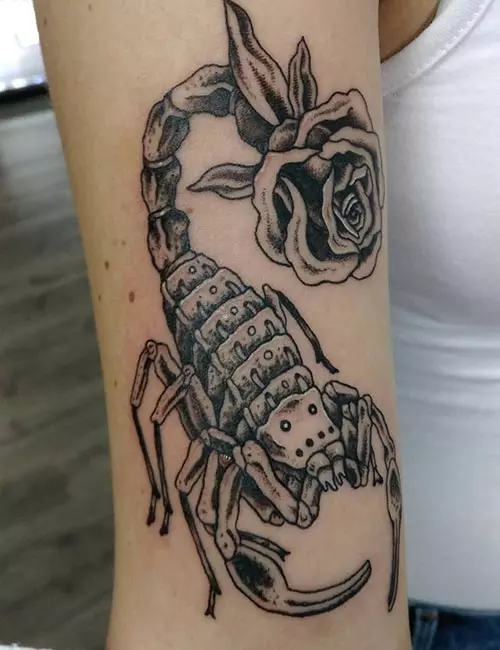 Rose And Scorpion Tattoo Design