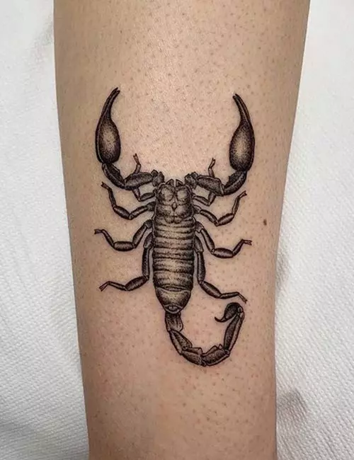 Scorpion Leg Tattoo Design