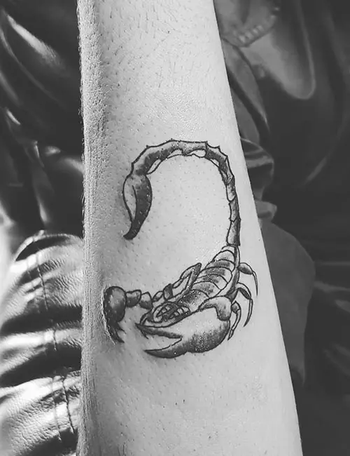 Scorpion Tattoo On The Arm