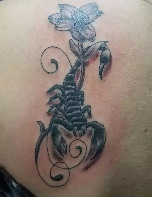 Scorpion Tattoo On The Back