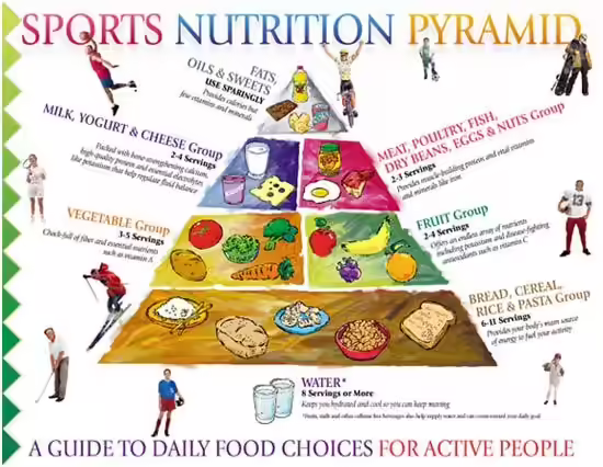 Sports Nutrition Chart Sports Nutrition Chart