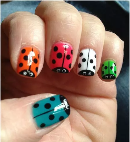 colours of ladybugs