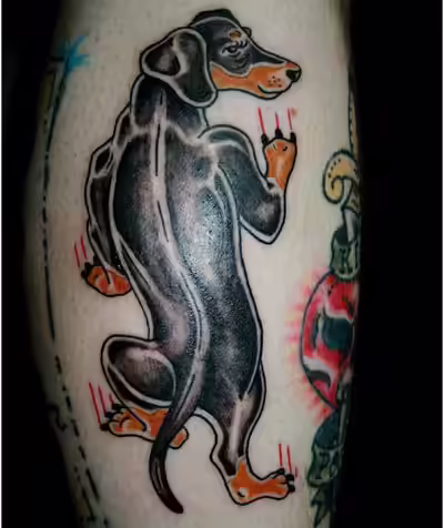 dog tall tales dog tall tales