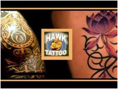 hawk tattoo designs