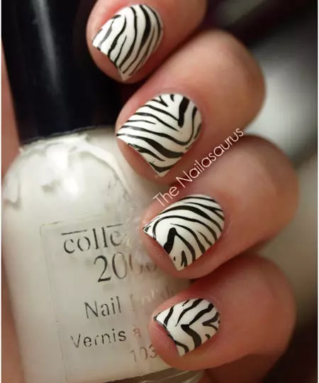 zebra nails designs