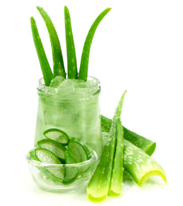 What Are The Top Research-Based Benefits Of Aloe Vera?_image