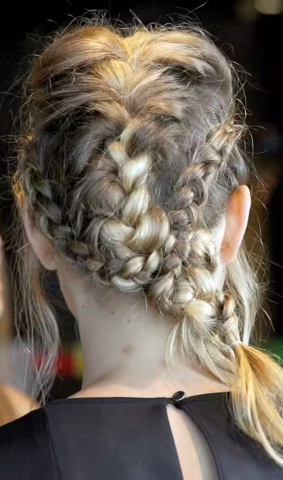 Multiple Braids With Pony