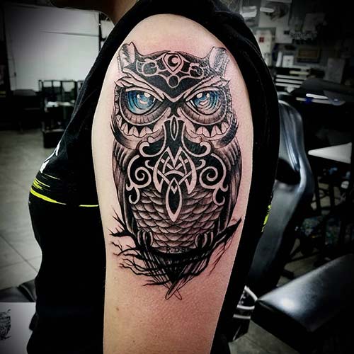 Celtic Owl Tattoo Celtic Owl Tattoo Design
