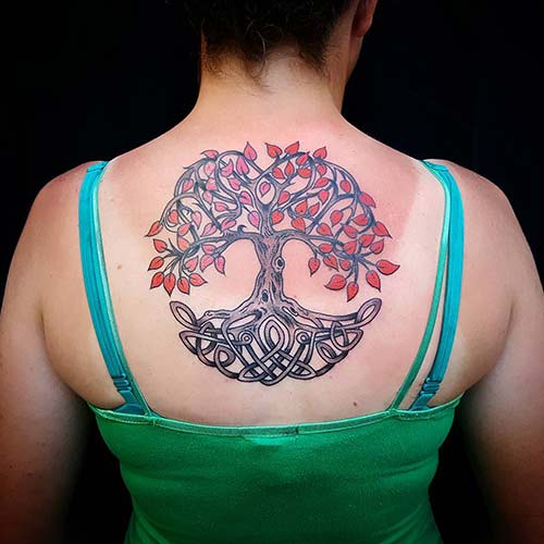 Celtic Tree Of Life Tattoo Celtic Tree Of Life Tattoo