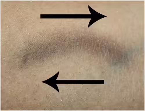 fluffy blending brush fluffy blending brush