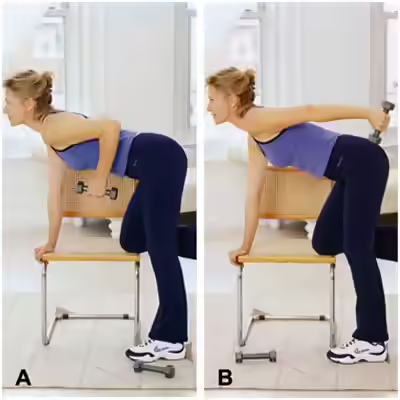 triceps kickbacks triceps kickbacks