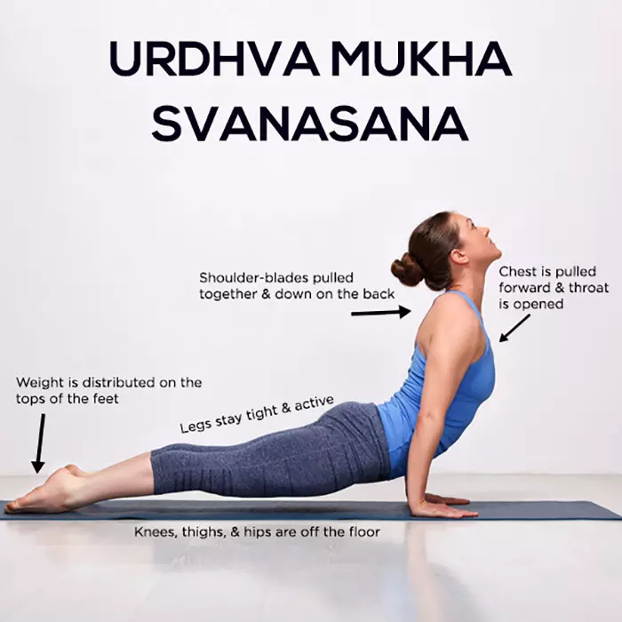 Udharva-Mukha-Svanasna...