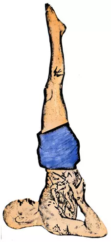 sarvangasana benefits