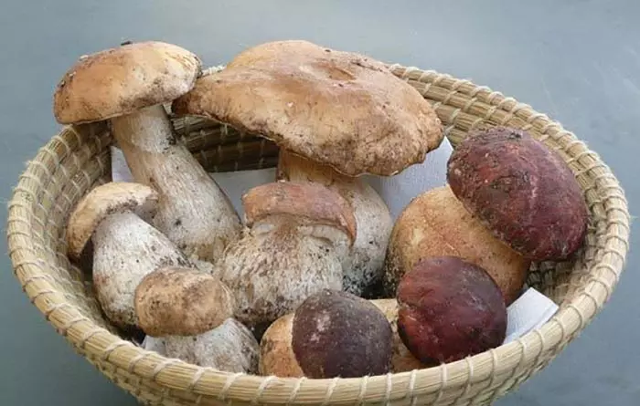 21-Best-Benefits-Of-Mushrooms-Khumbi-For-Skin-Hair-And-Health7