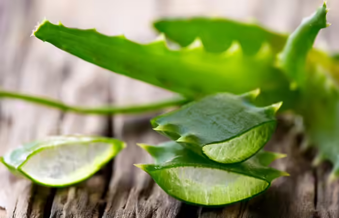 Ayurvedic Treatment for Weight Loss - Aloe Vera Detox Water Aloe-Vera-Detox-Water
