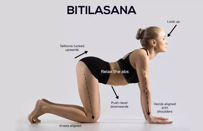 Bitilasana