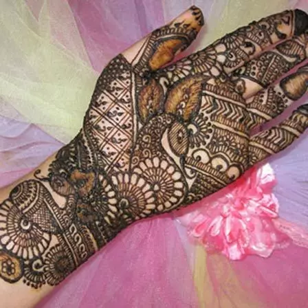 asha savla bridal mehndi designs book