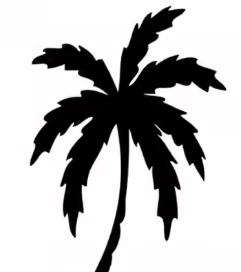 Classic Palm Tree Tattoo Classic Palm Tree Tattoo