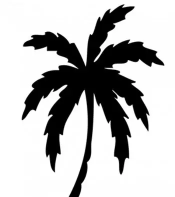 Classic Palm Tree Tattoo