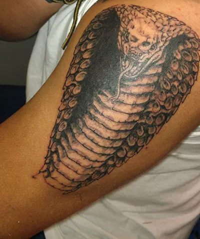 cobra tattoo