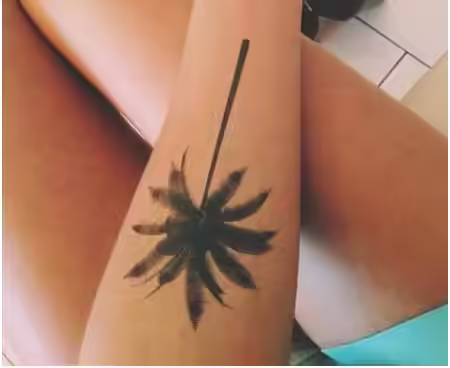 Forearm Palm Tree Tattoos Forearm Palm Tree Tattoos