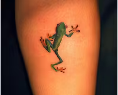 frog climbing guide frog climbing guide