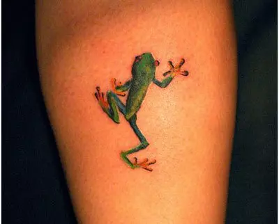 frog climbing guide