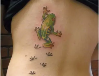 frog designs