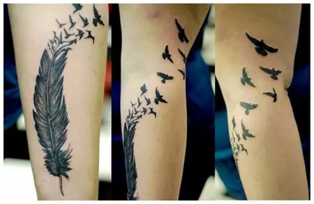 raven feathers